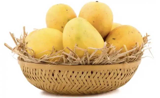 Indian Alphonso Mangoes Arrives In the US
